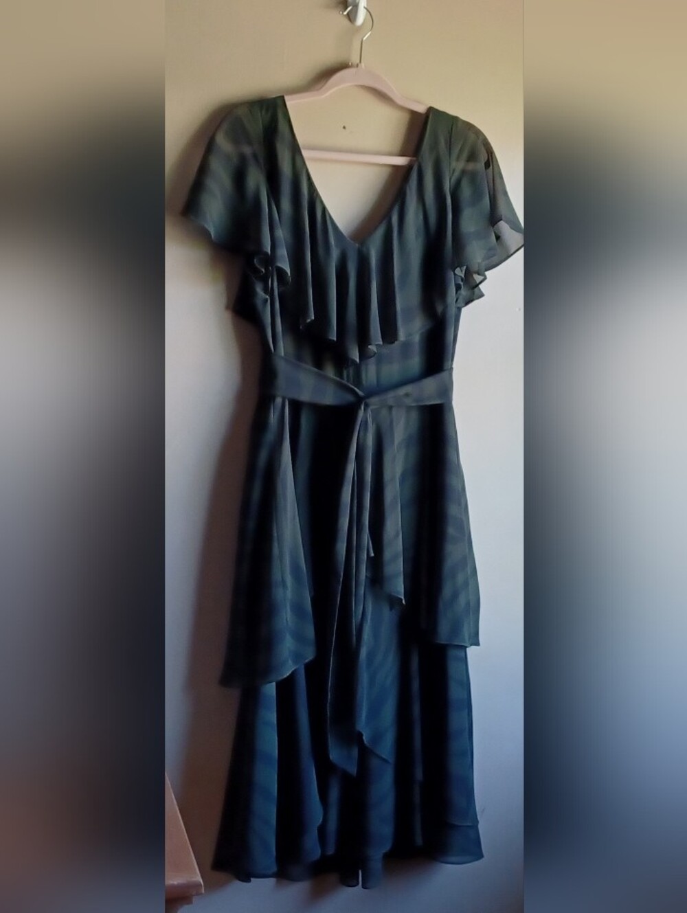 RALPH LAUREN green Zebra-print Chiffon Gown Sz10